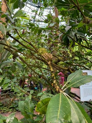 Huntington Library And Botanical Gardens 15